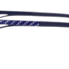 BD.IP1060