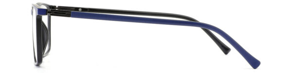BD.IP7013